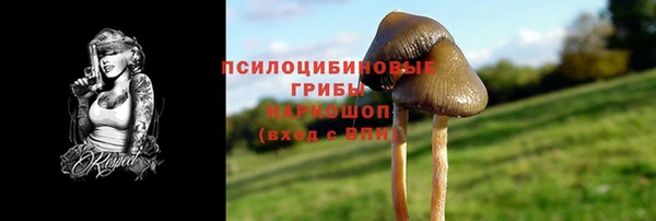 PSILOCYBIN Абдулино