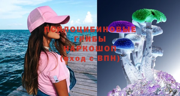 эйфоретик Алексин