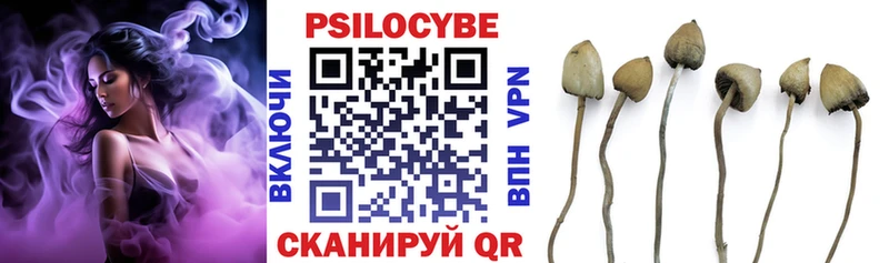 Псилоцибиновые грибы Magic Shrooms  Хадыженск 